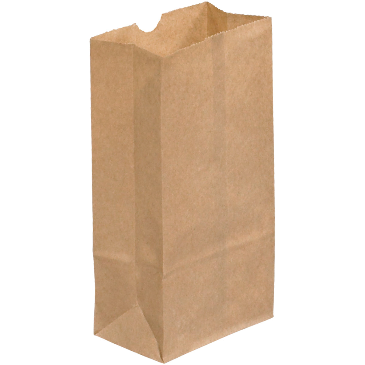 3 X 1 7 8 X 5 7 8 Kraft Paper Grocery Bags